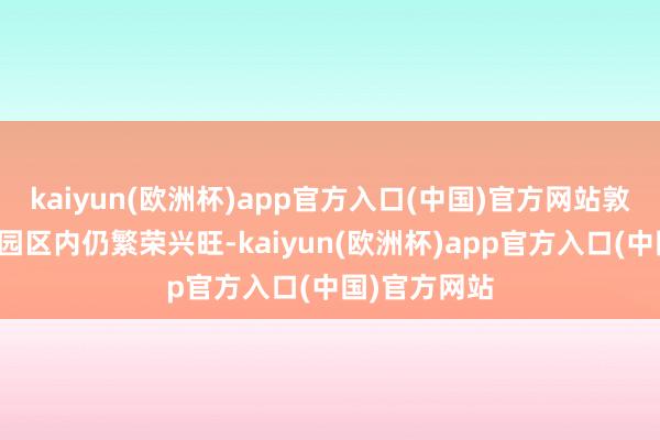 kaiyun(欧洲杯)app官方入口(中国)官方网站敦寨镇的