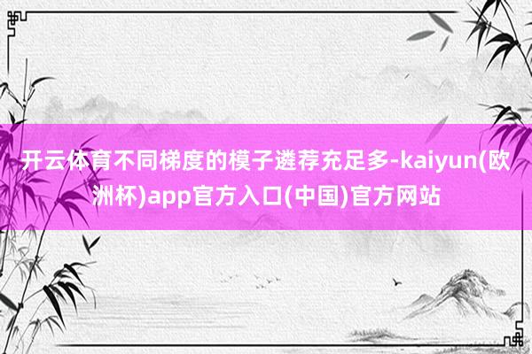 开云体育不同梯度的模子遴荐充足多-kaiyun(欧洲杯)app官方入口(中国)官方网站